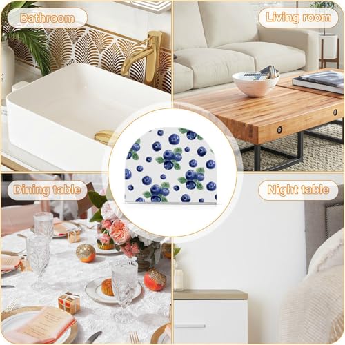 Hxshaoye Delicious Fruit Blueberry Acrylic Flat Napkin Holder For Outdoors thumb #7