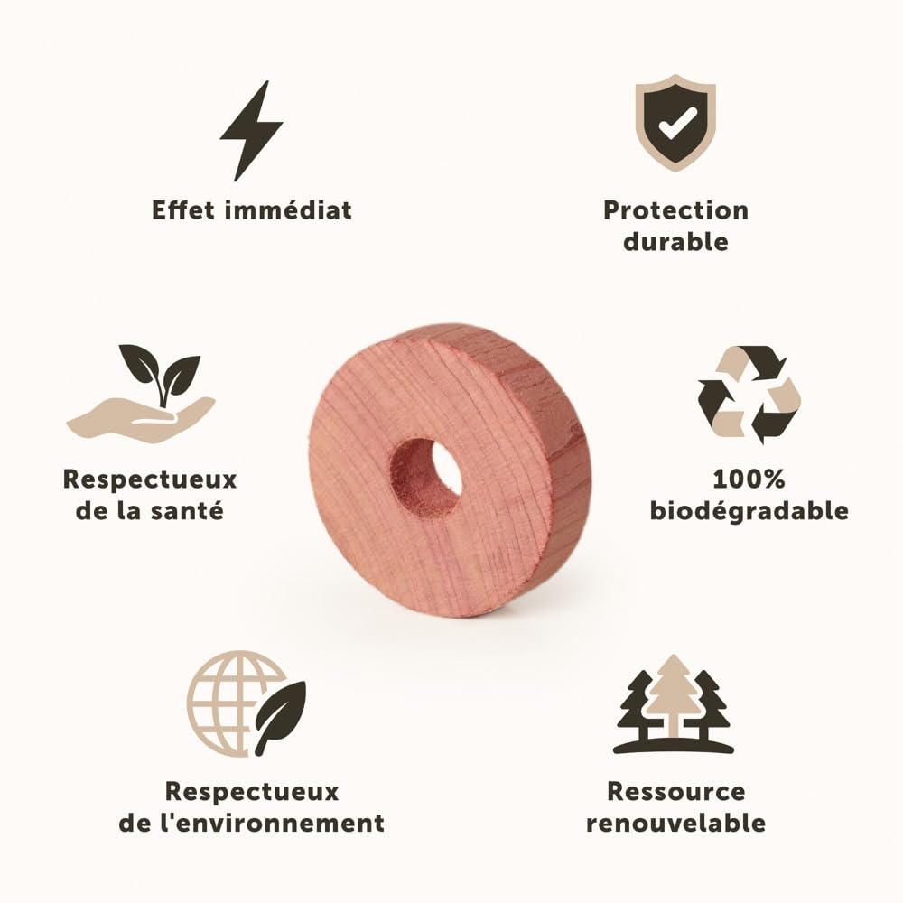 Cintre Bois Noyer Barre Antidérapante Avec Crochet (le Lot De 100