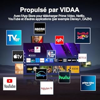 HKC Smart TV 32 Pouces (80 cm) FHD, sans Bord Connectée Télévision avec WiFi, Bluetooth, App Store, Triple Tuner(DVB-T/T2, DVB-C, DVB-S/S2), AirPlay (H32N1F-V, 2026)