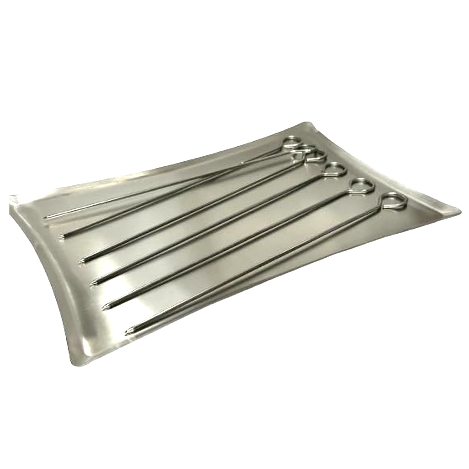 Dynore Stainless Steel Barbeque Tray Along with Barbeque Skewers for Serving Purpose (B0CDBVH33H) Amazon Price History, Amazon Price Tracker