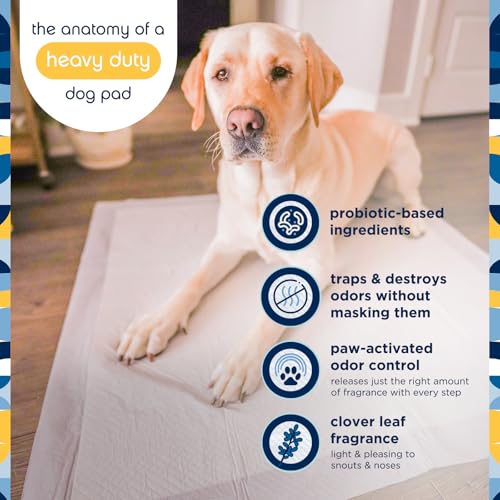 Image of Pet Life Unlimited Heavy Duty 3XL Puppy Pads for Dogs, Potty Training Pee Pads, 25 Count, 36 inch x 36 inch, Leak-Proof, Super Absorbent, Quick-Dry, Odor Control Clover Leaf Scent, Made in USA (Pack of 2)
