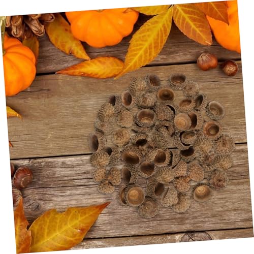 Cáscaras naturales de bellota para manualidades 50 piezas miniatura 6