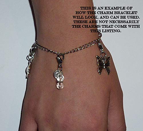 Clip On Charm, Build Your Own Bracelet, Bag, Purse, Handbag, Message, Inspirational, Keychain, Zipper Pull, Jewelry3