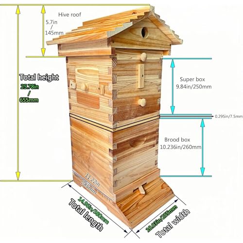 Kit de démarrage de Ruche avec fenêtre d'observation et Bec de Miel - Boîte d'apiculture complète Comprend la Maison d'abeilles de Charpentier pour Les pollinisateurs de Jardin