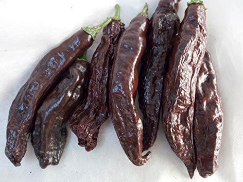 SEMI PEPERONCINO-AJI AMARILLO-AJI PANCA-