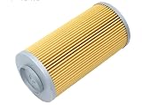 Fuel Filter SN25067 for HIFI