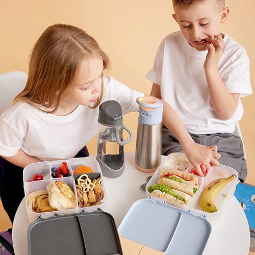 b.box Brotdose | Große Bento-Box mit 4 Fächern (2 auslaufsicher), herausnehmbarer Trenner, Gel-Kühlpack | Ideal für die Schule | Ab 3+… – Ansicht 4