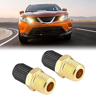 Air Compressor Tank Fill Valve , 2Pcs 1/8 inch Car NPT MPT Nickel Plated Brass Air Compressor Tank Fill Valves Adapter