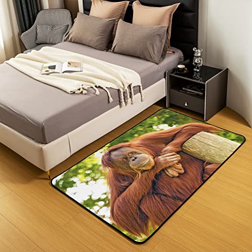 Loussiesd Baboon Area Rug Zoo Animal Rug for Living Room Bedroom Soft Monkey Orangutan Carpet Rug Indoor Floor Mat Accent Rug for Playing Room Kitchen Home 100 * 150cm - Image 4