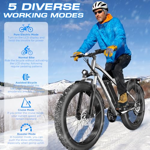 Funhang 1000W Electric Fat Tire Ebike
