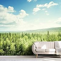 Wall Mural Natural Landscape Removable Self-Adhesive Wallpaper Wall Decoration for Bedroom Living Room - 66x96 inches