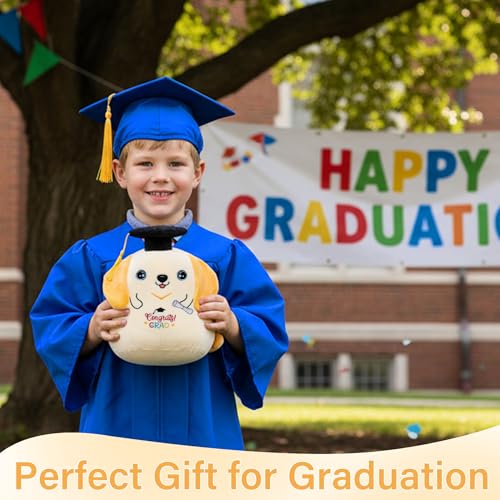 Graduation Dog Stuffed Animal for Men - Graduation Gift Puppy Plush with Graduation Cap Colorful Embroidery Congrats Grad for Boy Kindergarten Preschool Elementary Class of 2026 Gifts for Kids 10 Inch — view 2