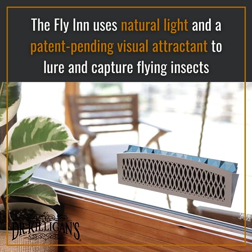 Dr. Killigan's The Fly Inn | Window Fly Traps | Sticky Fly Strip | Indoor Insect Trap | Catches And Hides Bugs | Better Than Fly Paper Or Ribbon | Get Rid Of Flies | (2+4, Gray) #TOP2