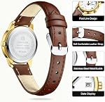 LN LENQIN Womens Watches Analog Quartz Waterproof Watches with Leather Straps Fashion Watch for Ladies