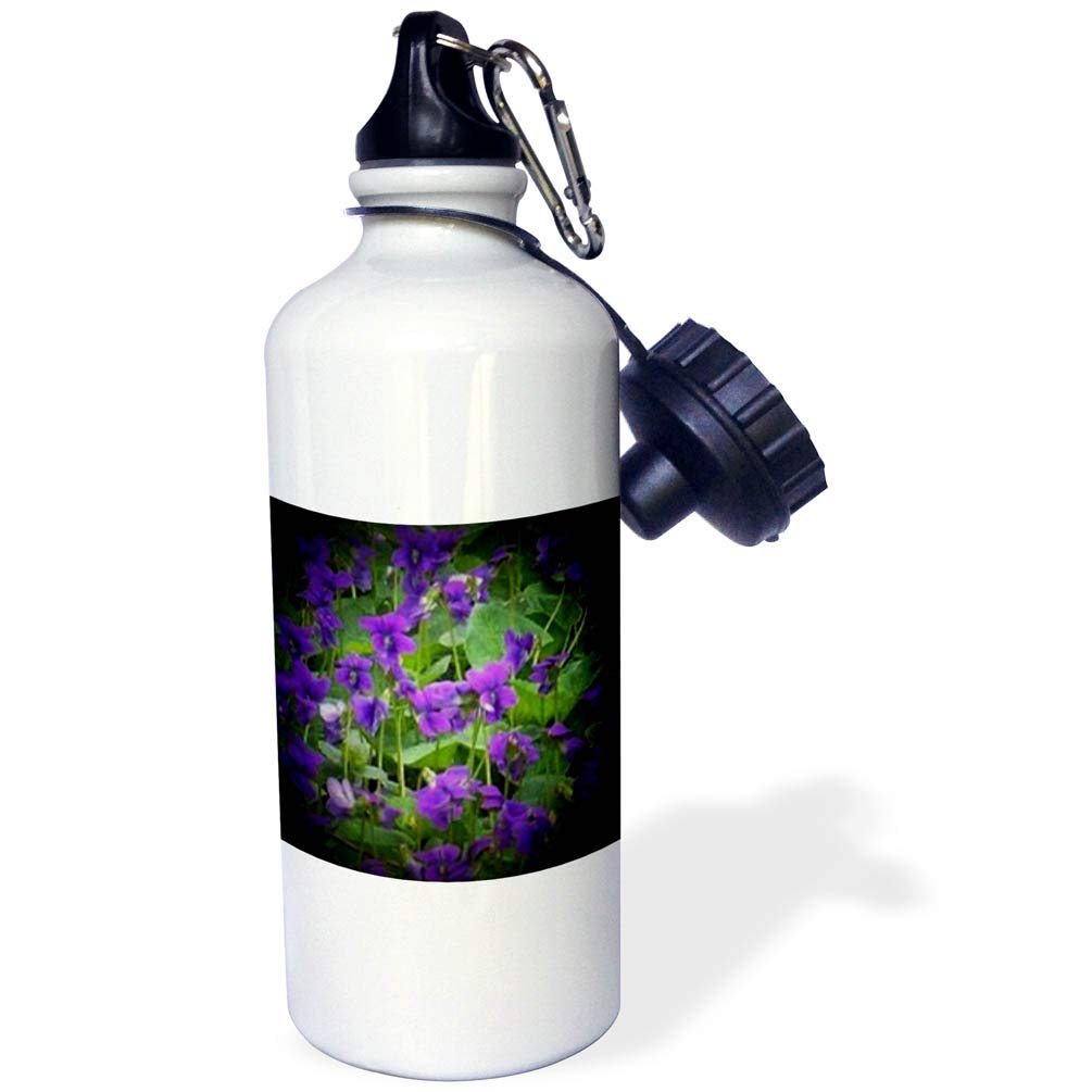 3dRose Wood Violets in Spotlight Sports Water Bottle 21 oz White
