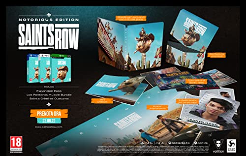 Deep Silver Saints Row Notorious Edition Per Xbox One - 2