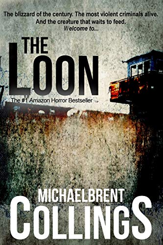 The Loon view 2