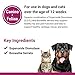 Vet Classics S.O.D. & Boswellia Joint Support Supplement for Dogs, Cats – Dog Hip & Cat Joint Supplement – Alleviates Aches, Discomfort– for Flexibility, Healthy Joint Function - 500 Chewable Tablets