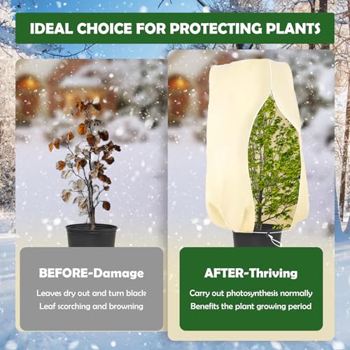ZOVRIXIA 180x120cm 70g/m² Voile Hivernage Plante Exterieur, Indéchirable – vue 4