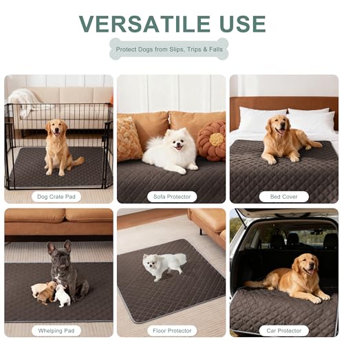 Image of Eterish Reusable Washable Pee Pads for Dogs Large /Extra Large 36'' x 41'' 2 Pack, Absorbent Pet Puppy Dog Training Pads Non-Slip, Waterproof Whelping Potty Pads for Dogs Leak-Proof