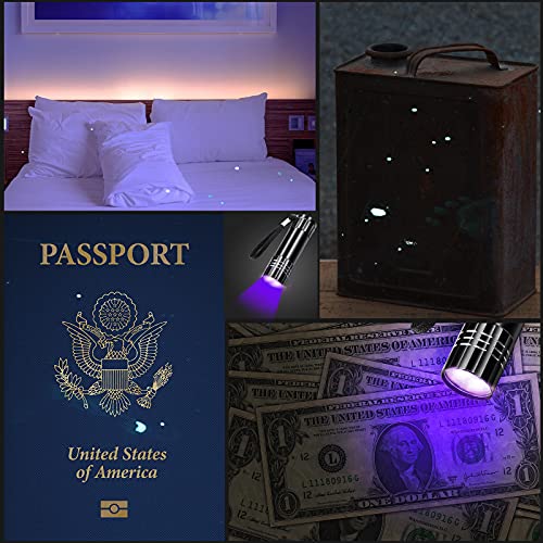 12 Pieces Blacklight Flashlights Uv Led Mini Handheld Black Light Flashlight Small Portable Uv Light Detector Uv Flashlight 395Nm 9 Led Light Torch For Pet Urine And Dry Stain, Not Included Battery #TOP5
