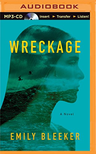 Wreckage view 2