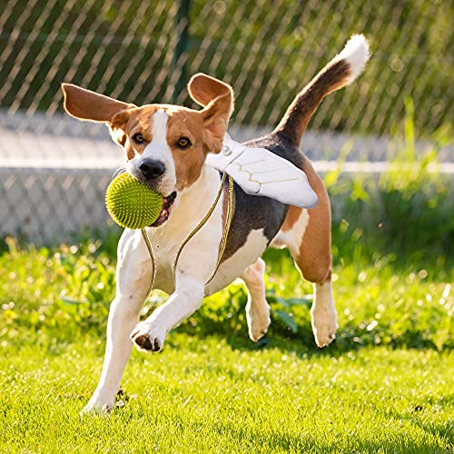 Pet Halloween Costume Cosplay White Angel Wings For Dog Cat Rabbit Piggy,Funny Gift At Christmas Party Pets Dress Up Accessories Wing #TOP1
