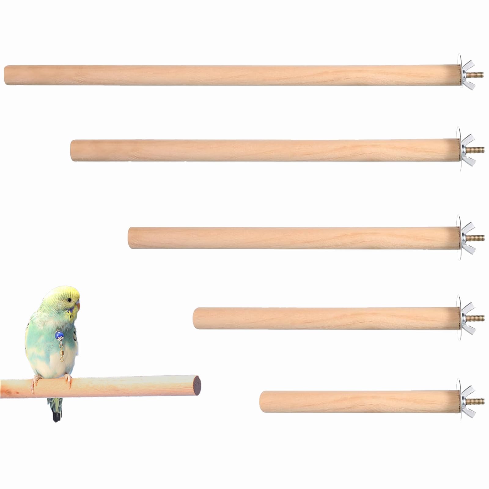 Bird Perches for Cage, Natural Wood Bird Perch Set with Five Lengths, Essential Bird Cage Accessories for Small to Medium Birds, Including Budgie Perch Options in 10cm 15cm 20cm 25cm 30cm