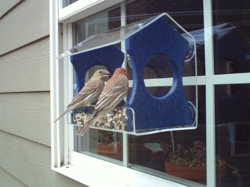 Jcs Wildlife Diner 9 Window Bird Feeder - Easy To Clean And Fill - Holds 3 Cups Of Seed - Mounts On Any Window - Clear Acrylic And Strong Suction Cups (Blue) #TOP3