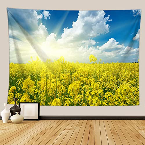 [KMBIGNK] ^yXg[ Ɣ_  TVC J[  CeA t@ubNi i` @\ Rĩ^yXg[ _ȃA[g 唻 Ǌ|^yXg[ z|X^[ Ǐ wiz   Vj t