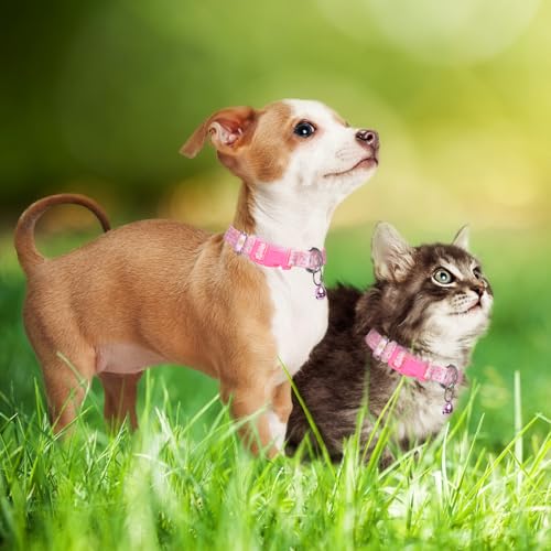 Collier rose pour chiot avec clochette pour ne plus perdre votre chaton - 3