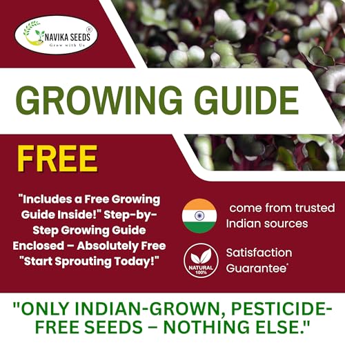 Image of Navika Seeds Radish Microgreen Seeds (100g) for Hydroponic, Soil & Tray Growing | Fast Germination | High Yield | Non-GMO Methi Microgreens Seeds | Free Growing Guide Included |100 Gram Packet