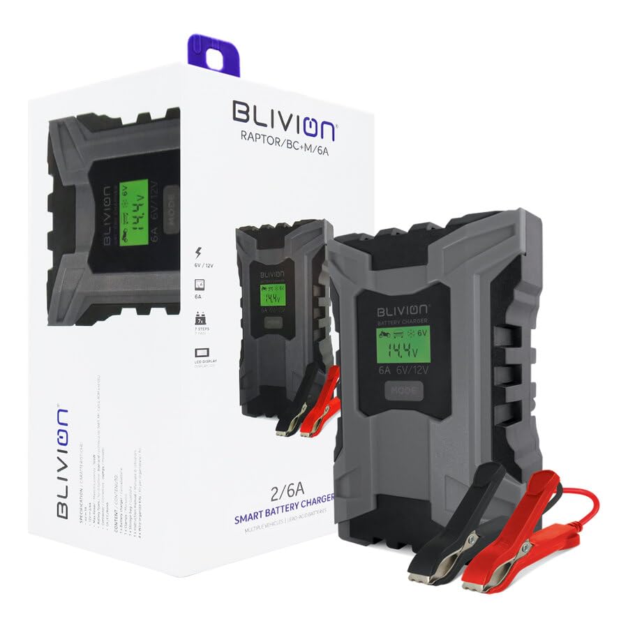 BLIVION Carica Batteria per Auto 6V/2A 12V 2A/6A | Fornisce diagnostica avanzata per indicare le batterie danneggiate | Per Batterie piombo acido