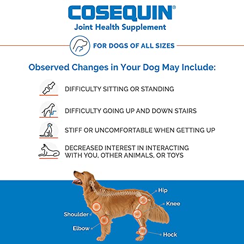 Cosequin DS Maximum Strength Plus MSM & Omega3's Chewable Tablets