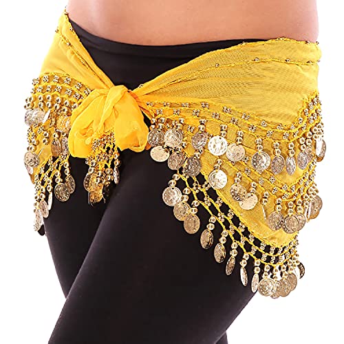Image of VRITRAZ Women's Chiffon Belly Dance Chiffon Top, Harem Pants and Hip Scarf Ringy Golden Coins Fancy Pants