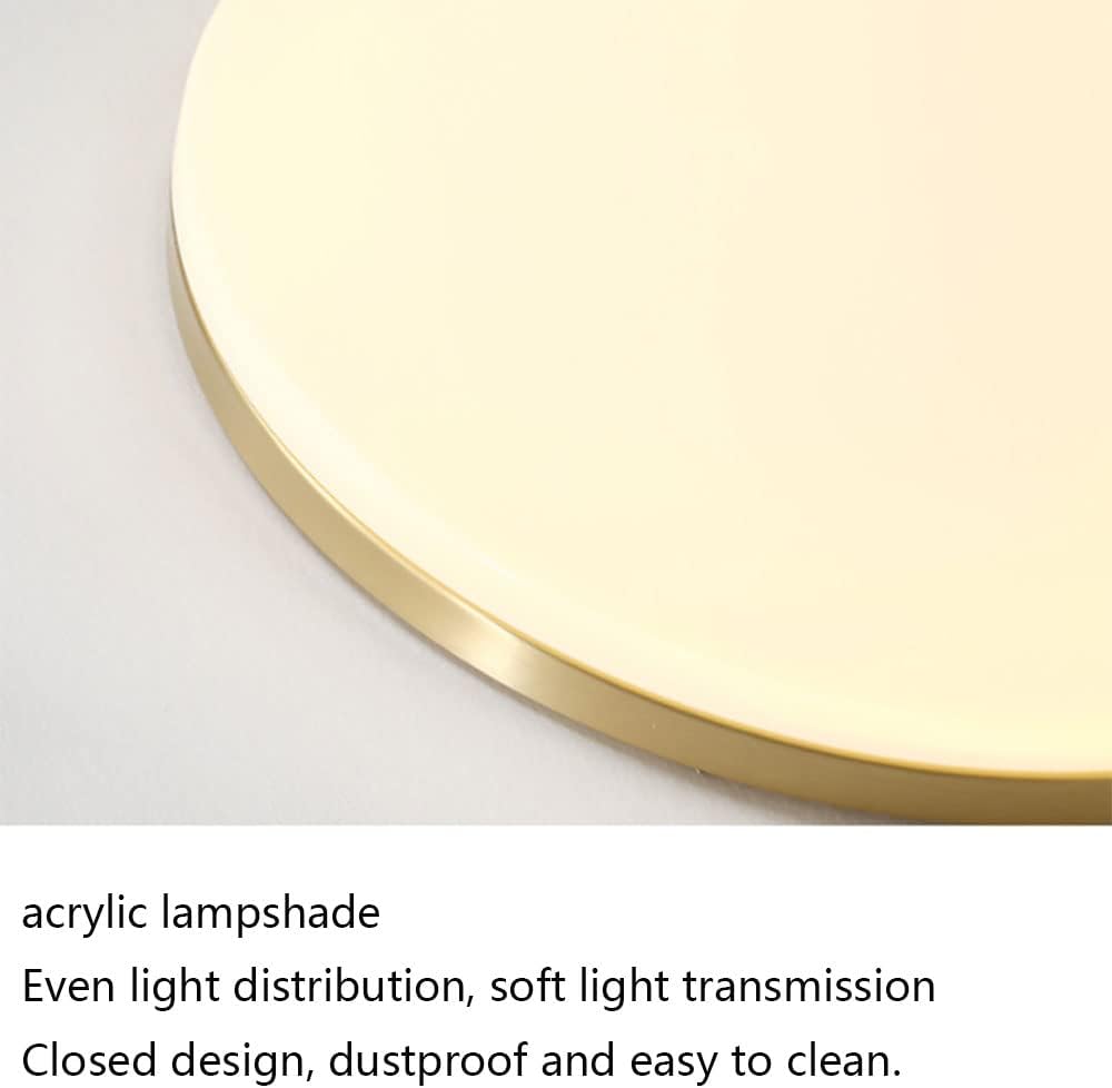 Nordic Led Ultra Thin Ceiling Light Easy to Install Embedded Flat Light Dimmable Round Minimalist Lamp with Remote Close to Ceiling Light Fixture for Learning Room, Tea Room, Bathroom/38Cm