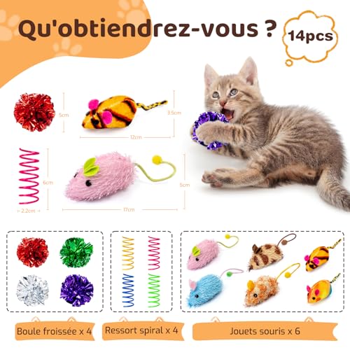 Jouets pour Chat, Paquet de 14 Jouets Chat interactifs, y Compris Une Balle pour Chat, Jouet à Ressort pour Chaton Adulte d'intérieur, Jouets à Herbe à Chat pour Chats à mâcher et Nettoyer Les Dents – Image 4