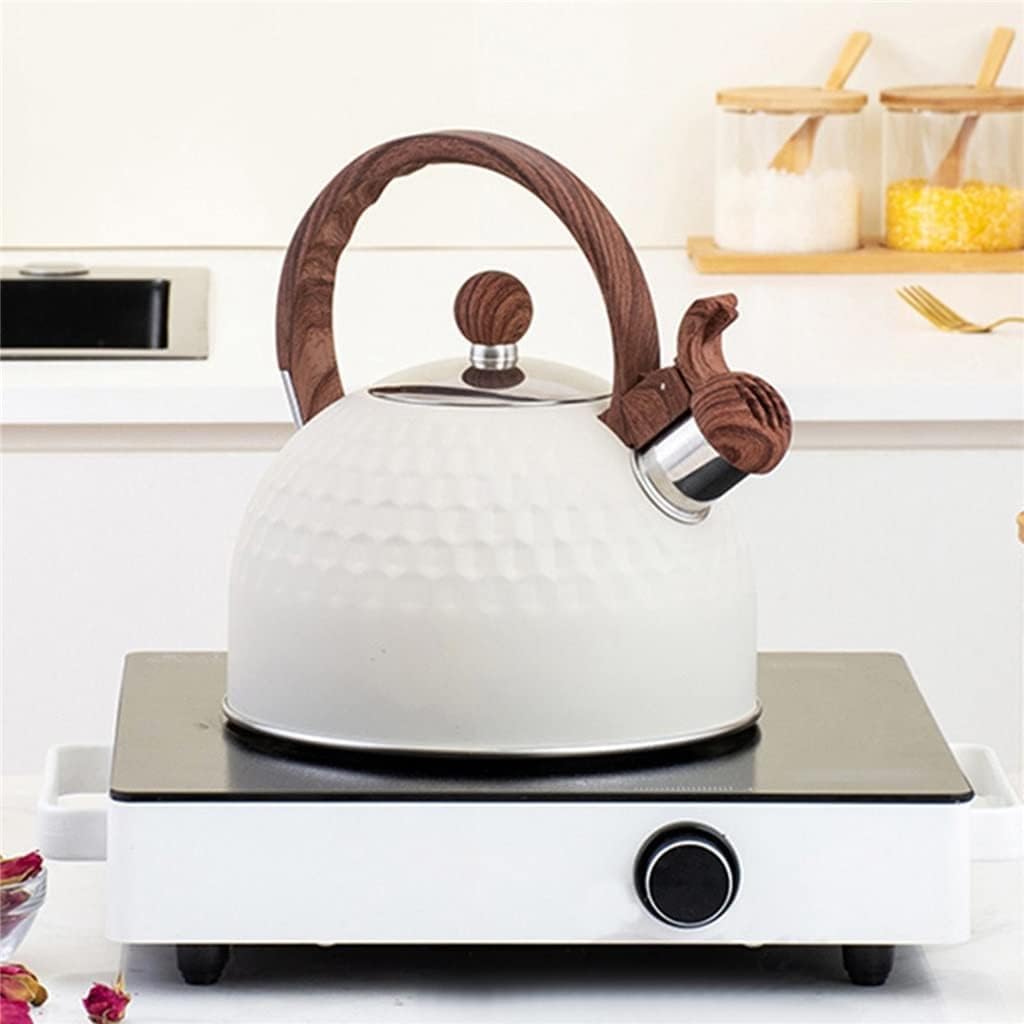 bodum Otoni やかん 未使用2L bodum ボダム やかん ケトル 2L