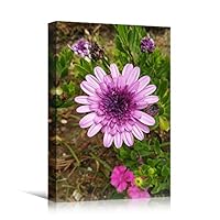 Canvas Wall Art Pink Fields Bohemian Colorful Floral Group Multicolor Photography - 12x18 inches