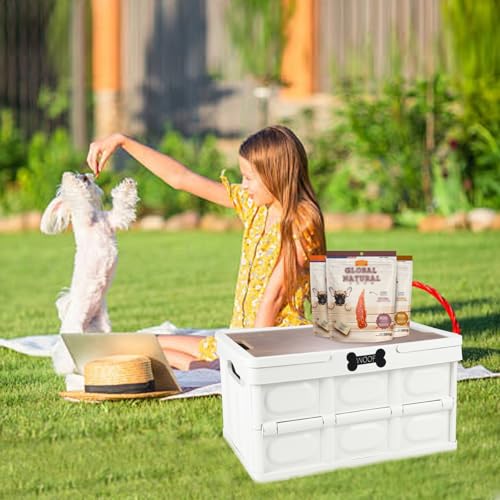 Collapsible Dog Toy Basket with Handles, Dog Stuff Organizer, Portable Pet Storage Bin with Wood Cover for Toys, Snacks and Camping Essentials, Ideal for Car Trunk, RV Trip, Picnic - Image 5
