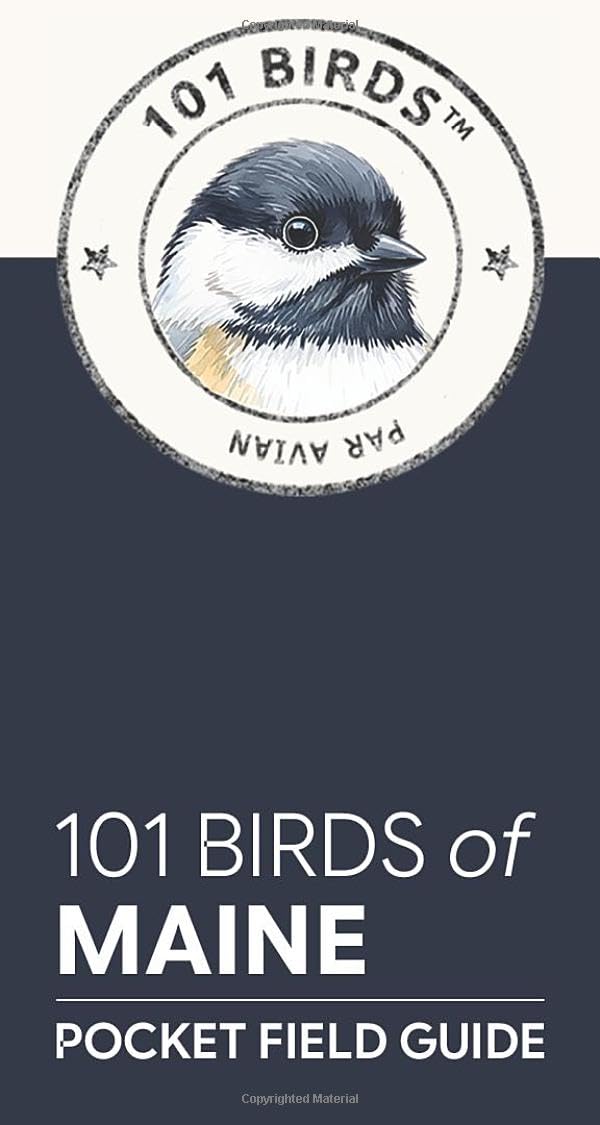 101 Birds of Maine: Pocket Field Guide (101 Birds Pocket Field Guides)