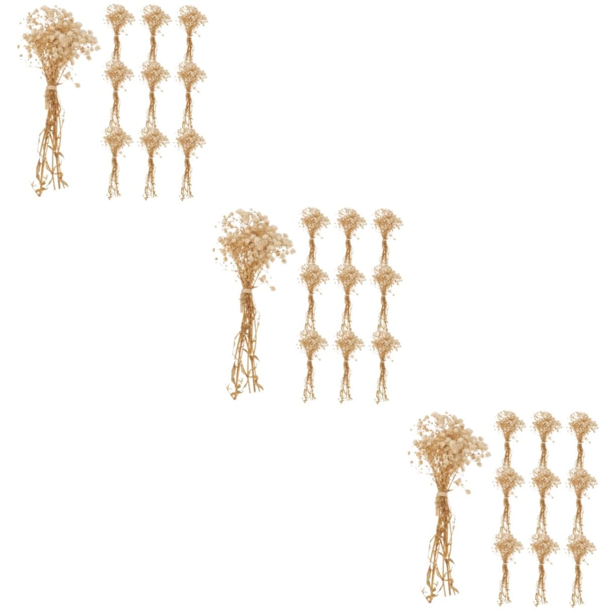 Didiseaon 3 Pièces 10 Petit Bouquet de gypsophile Quenouilles tiges séchées bouda Decoration Interieure Fleur sechees Bouquet de Composition Fleurs d'haleine de bébé séchées Beige