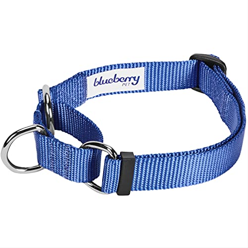 Blueberry Pet Essentials Martingale Safety Training Dog Collar, Marina Blue, Large, Heavy Duty Nylon Adjustable Collars For Dogs #TOP1