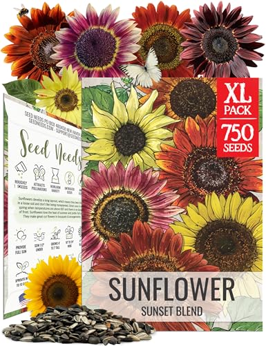 Seed Needs Sunflower Seeds to Plant Sunset Blend 7...