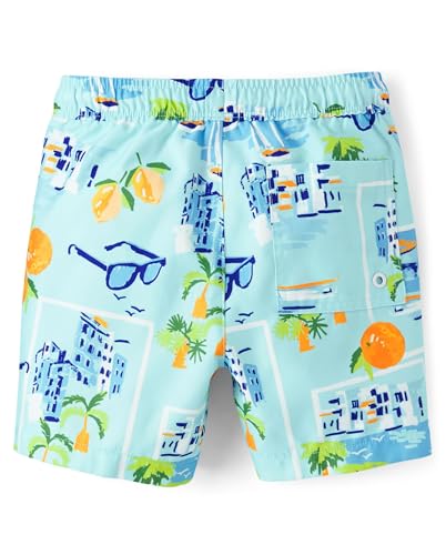 Image of Gymboree Boys and Toddler Swim Trunks