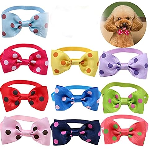 RayMinsino 10 pajaritas para perro y gato Cover