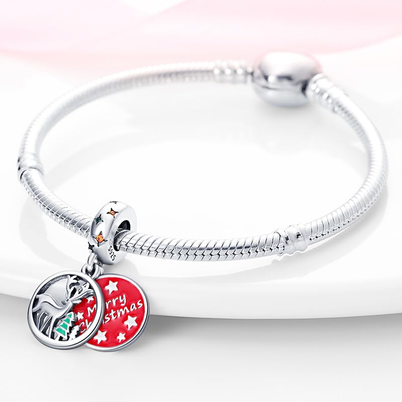 TINSLO Ciondolo Argento Sterling 925 con Cubic Zirconia Pendenti per Pandora Braccialetti, Compatibile con Braccialetti e Collane europei, perfetto Regali per Moglie e Ragazze B3