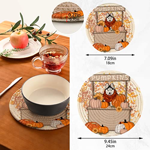 Spring Dogs Sunflower Pot Holders Trivets 2 Pcs Heat Resistant Trivets For Hot Dishes,Puppy Pumpkin Funny Cotton Thread Weave Trivet Mats For Hot Pads Pans Pot Bowl Teapot For Kitchen Decor #TOP2