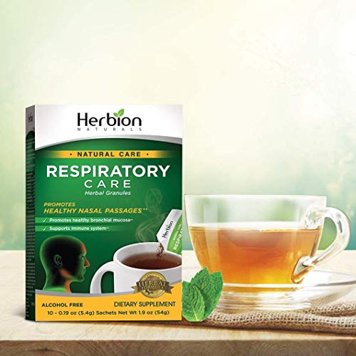 Herbion Naturals Respiratory Care (Pack of 2 Regular)
