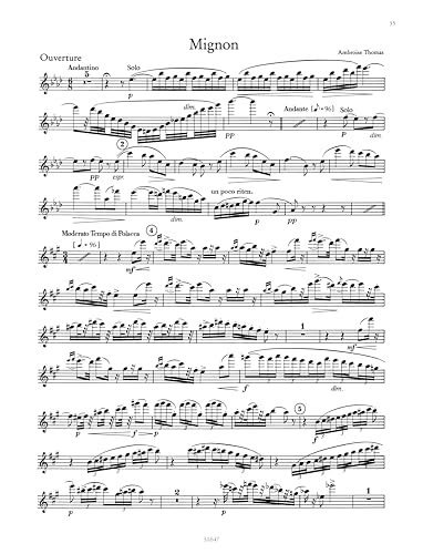 Orchesterprobespiel: Flöte / Piccoloflöte: Sammlung wichtiger Passagen aus der Opern- und Konzertliteratur